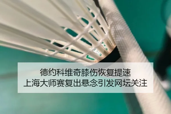 德约科维奇膝伤恢复提速 上海大师赛复出悬念引发网坛关注
